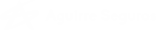 Aguirre Seguros Logo